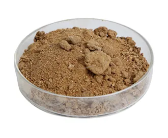 Feed Raw Materials