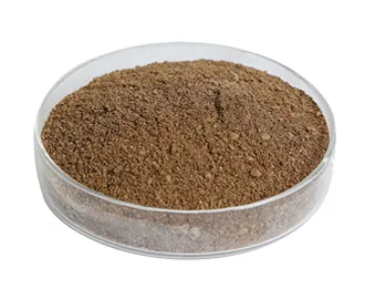 International Import & Export