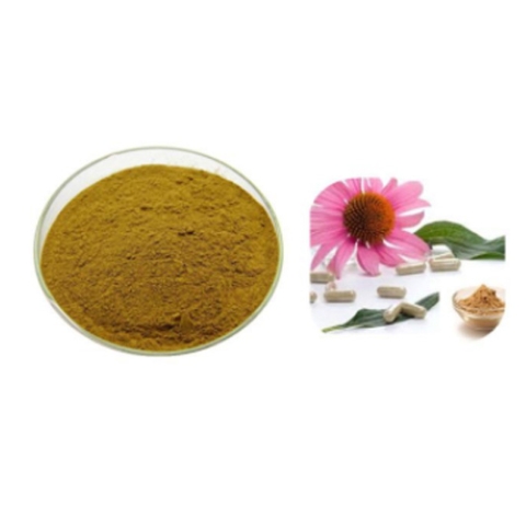 Echinacea P.E. (Echinacea Angustifolia Extract)