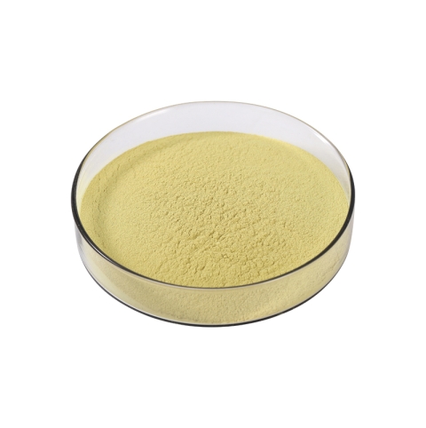 Sophora japonica extract