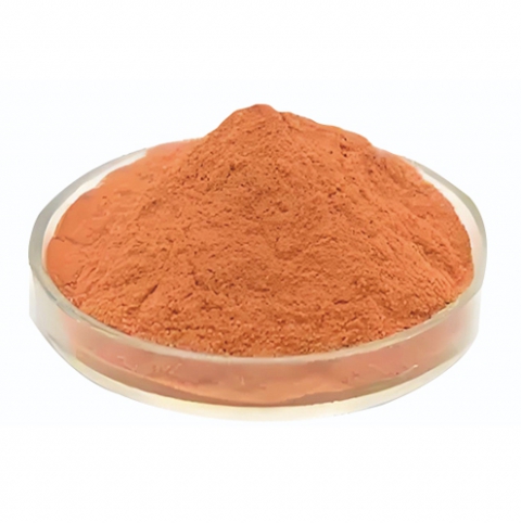 Grape Seed Extract