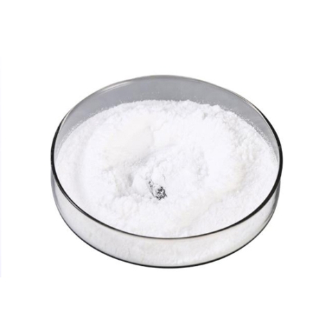 Saw Palmetto Fruit P.E.