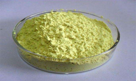 Rutin: What Is Rutin? 