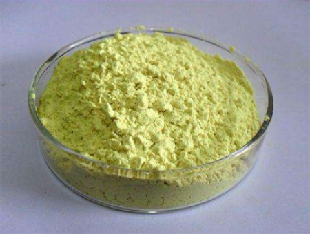 Rutin: What Is Rutin? 