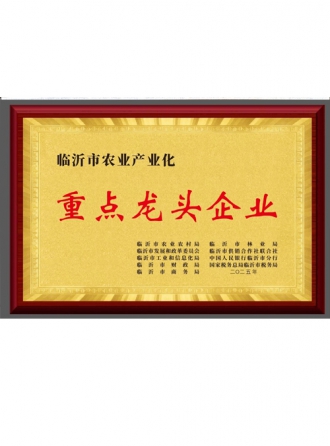 Key Leading Enterprise