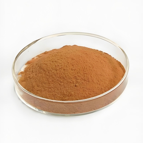 Rhodiola rosea extract