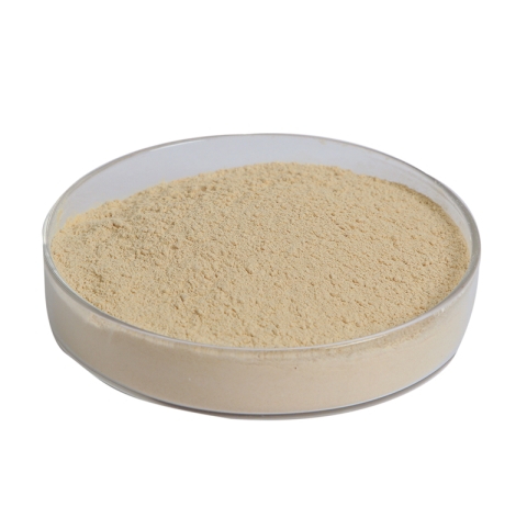 Fermented soybean meal powder