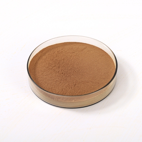 Ginkgo biloba extract