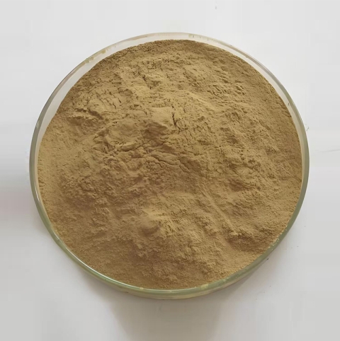 Milk thistle extract