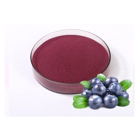 Bilberry(European) Extract
